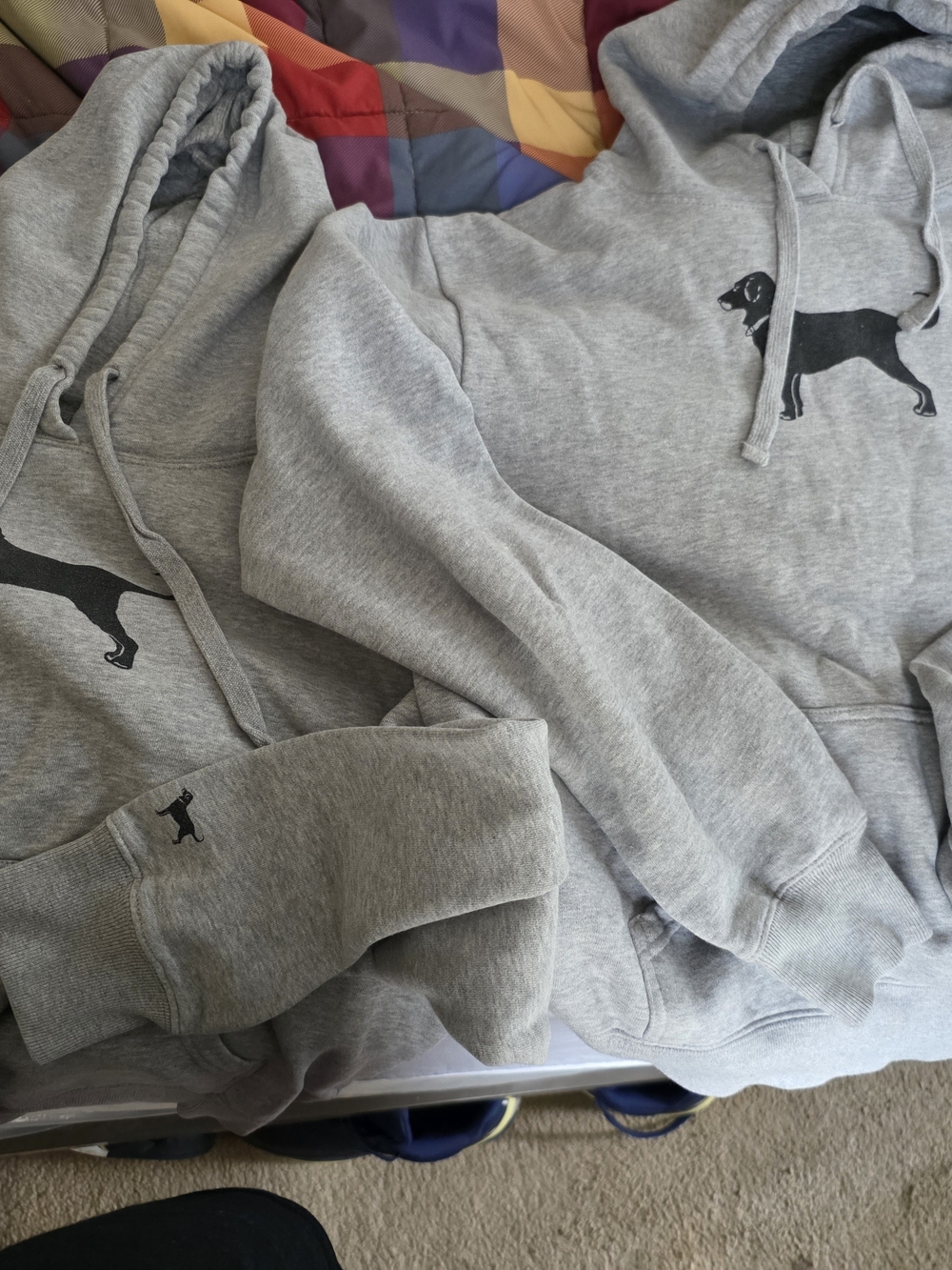 2 - The Black Dog Kids' Gray Hoodies– Comfortable Everyday Wear - Picture 2 of 6